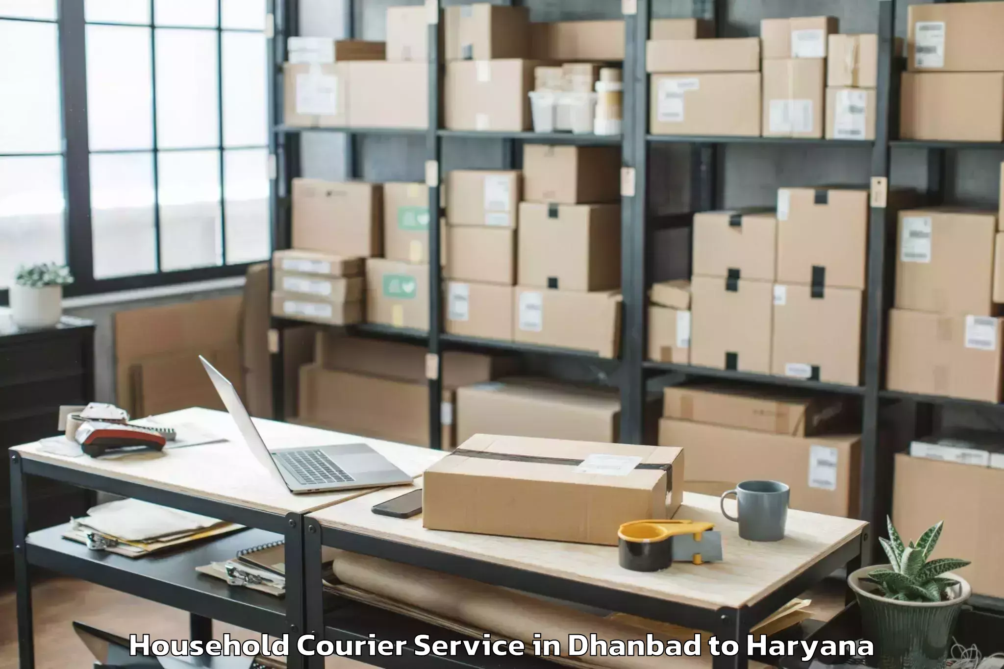 Easy Dhanbad to Tosham Rural Household Courier Booking